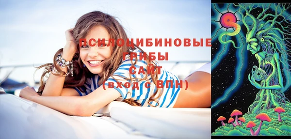 экстази Алексин