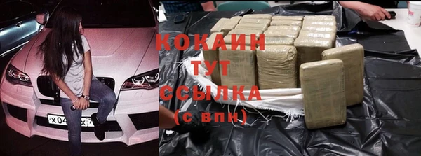 индика Алексеевка
