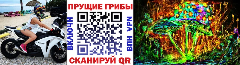 купить наркотик Выкса Псилоцибиновые грибы ЛСД