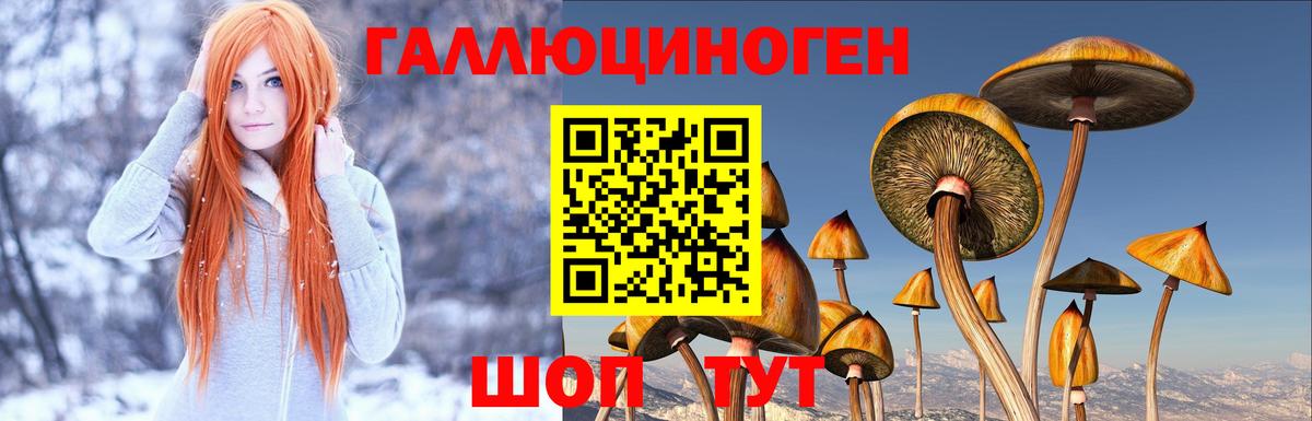 Галлюциногенные грибы Cubensis  Вход с VPN  Выкса  Псилоцибиновые грибы Psilocybe 
